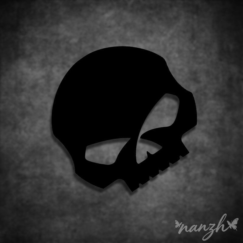 Защитная экипировка для мотоци – обзор и цена Motorcycle Gear Brand